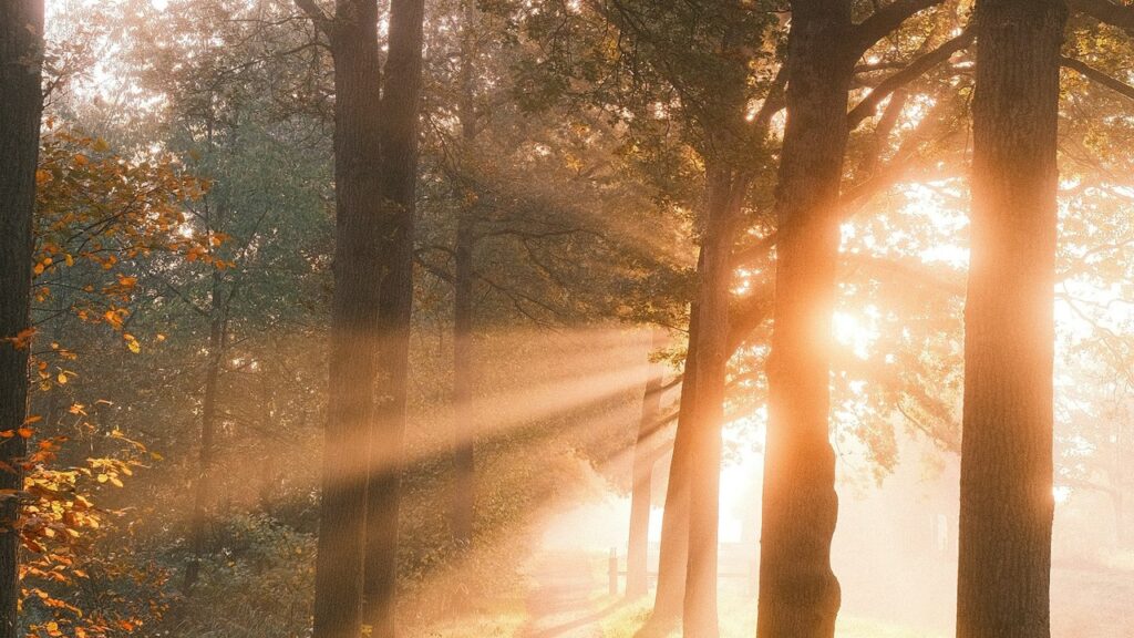 The Quiet Advantage of Doing the Hard Thing Today