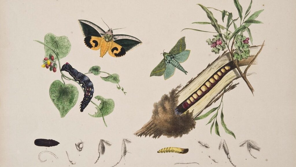 Resilience Begins with a Wider View