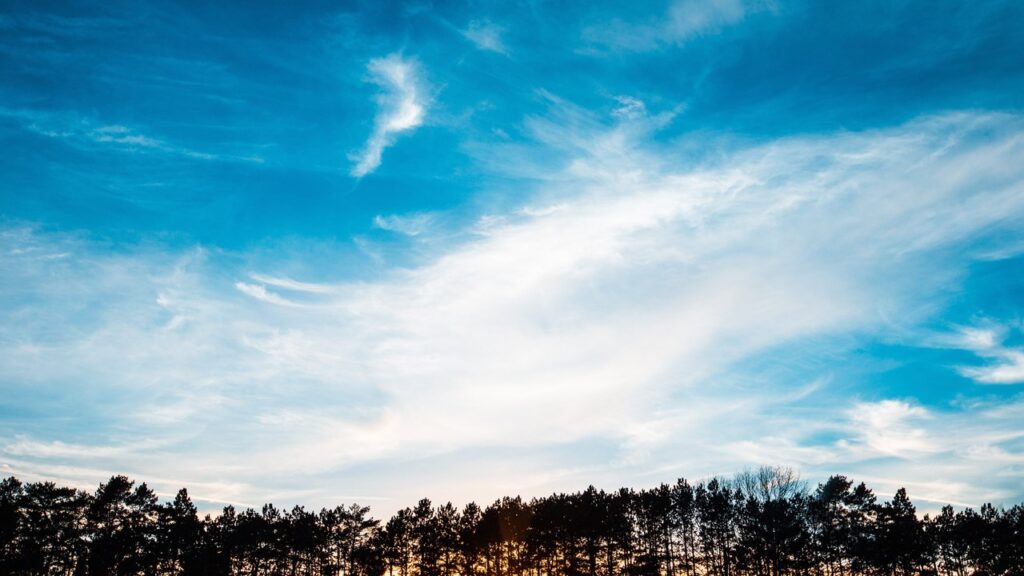 What Pain Can Teach Us About Change